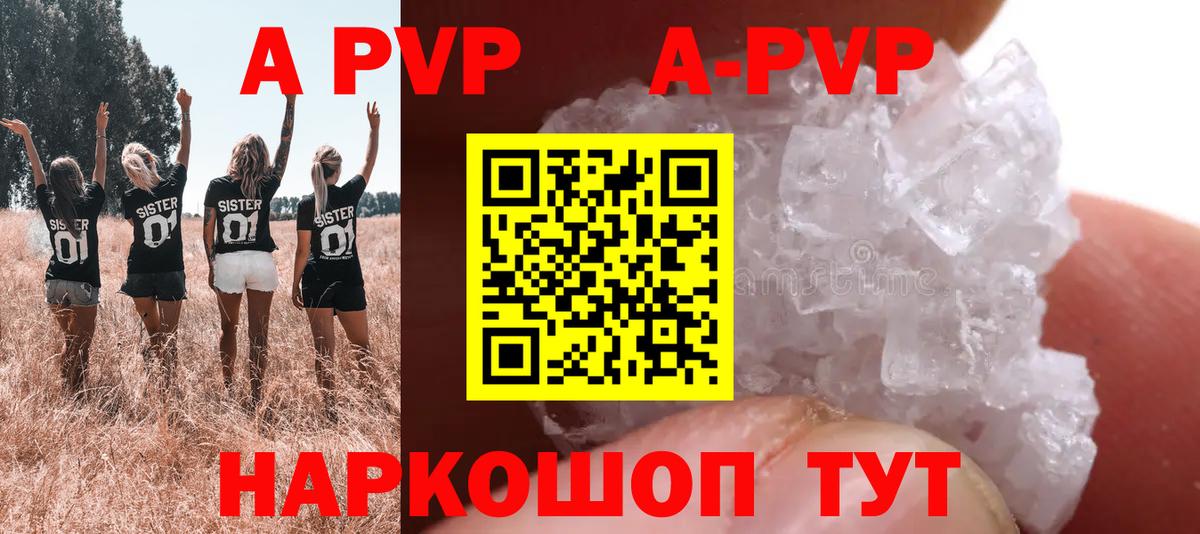 APVP СК Ногинск