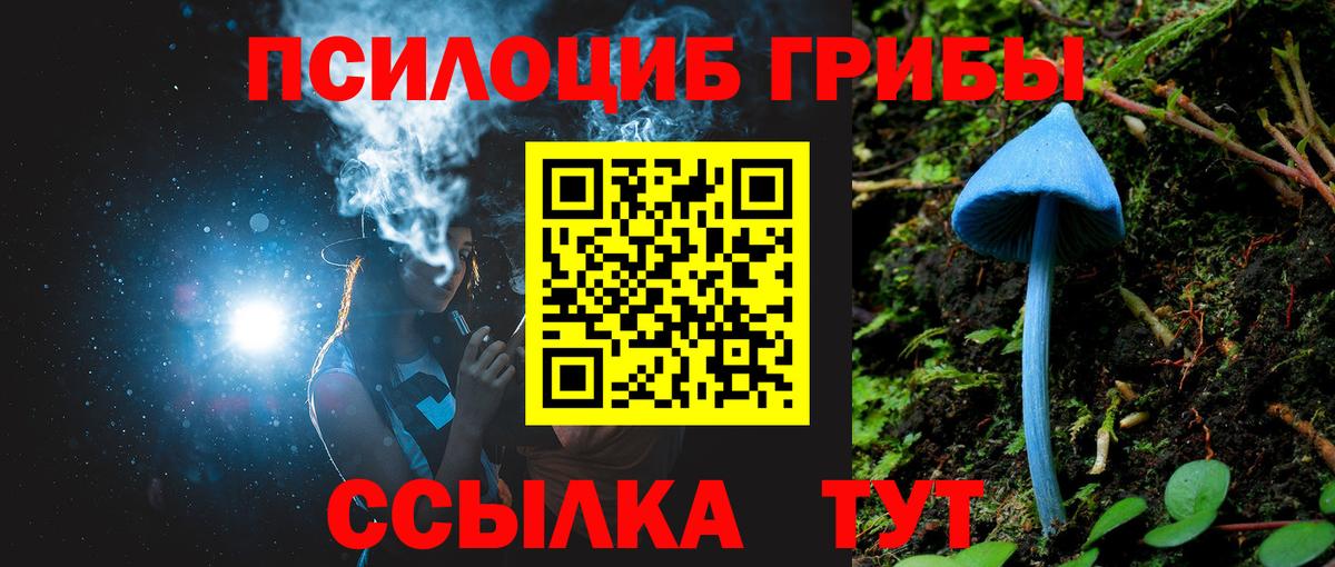 Галлюциногенные грибы GOLDEN TEACHER Ногинск