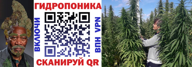 где купить наркоту  Ногинск  Марихуана OG Kush 